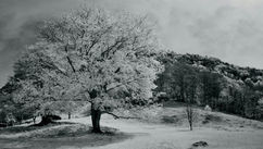Why Your Mindset Matters During Life's Most Difficult Seasons