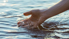 What It Truly Means to Experience Joy and Clarity