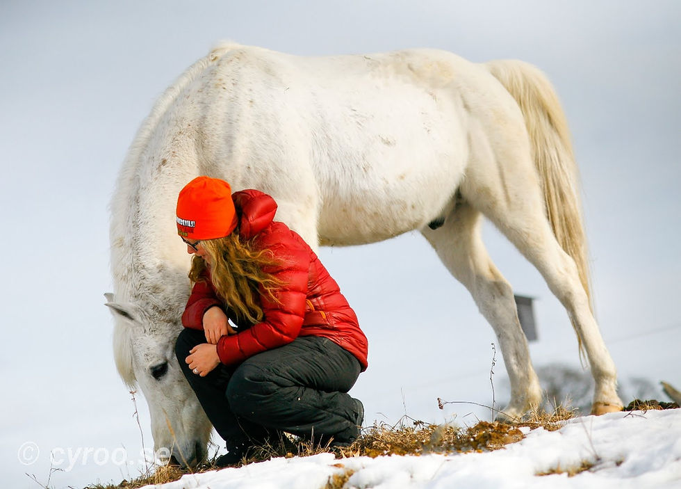 Person in a red jacket and orange beanie kneels beside a white horse in a snowy field. The mood is peaceful.