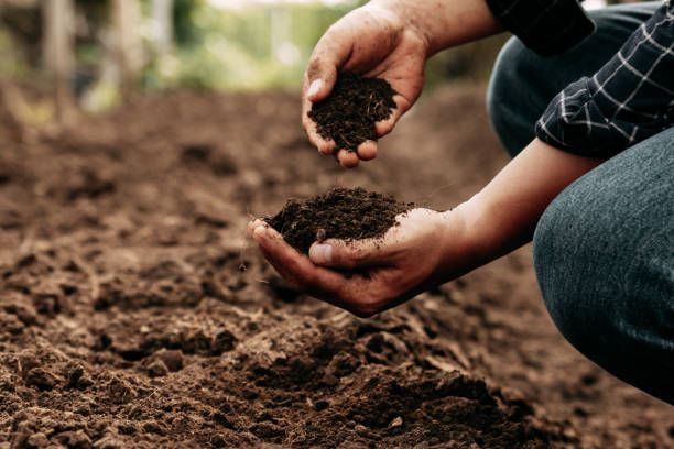 Hands holding rich soil above a freshly tilled garden bed outdoors, suggesting planting and care