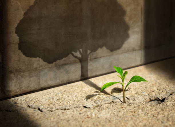 The Power of the Pause and Why Delay Doesn’t Define Your Destiny