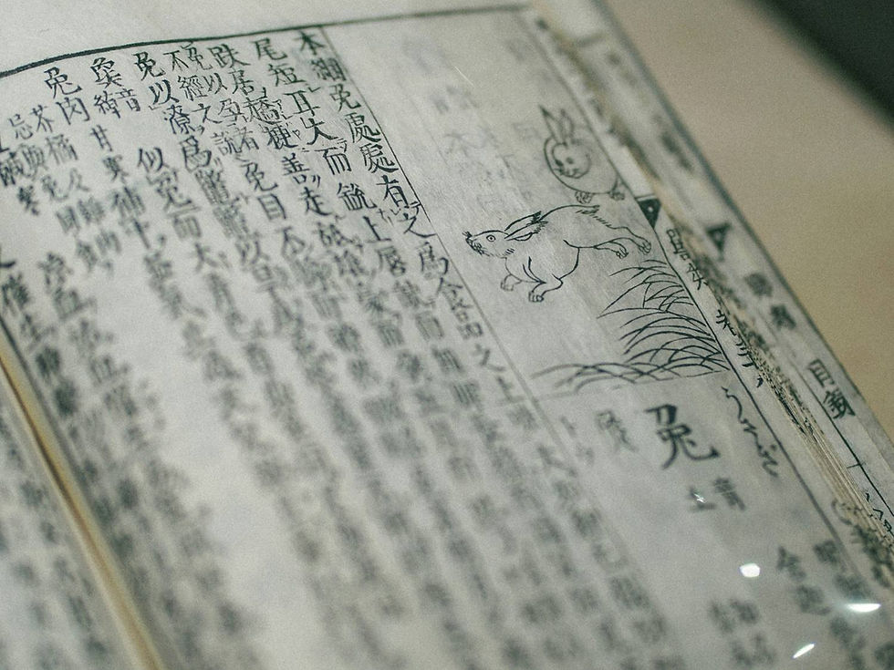 Old book with Chinese text features a black ink drawing of a rabbit leaping over grass. The paper is aged, adding a vintage feel.