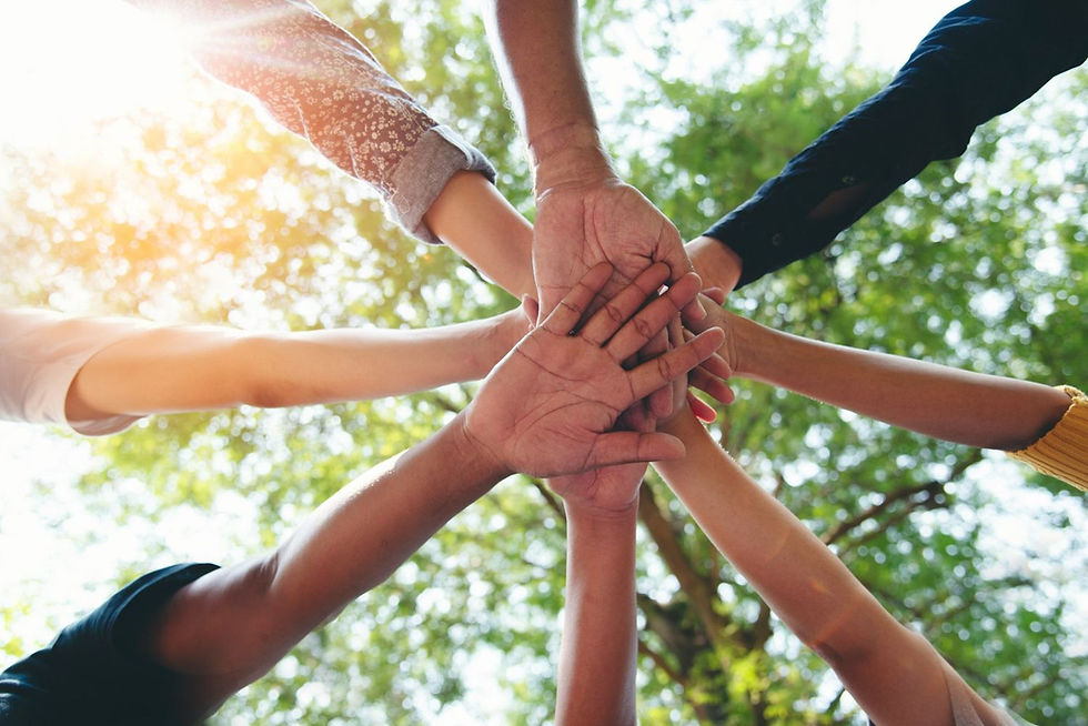Hands of diverse people join together in unity. Sunlight filters through green trees in the background, creating a warm, collaborative mood.