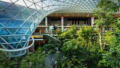 Why Biophilic Design is Reshaping the Future of the Built Environment