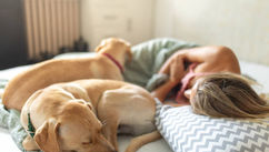 Study Shows Dog Owners Sleep Better and Feel Safer at Night