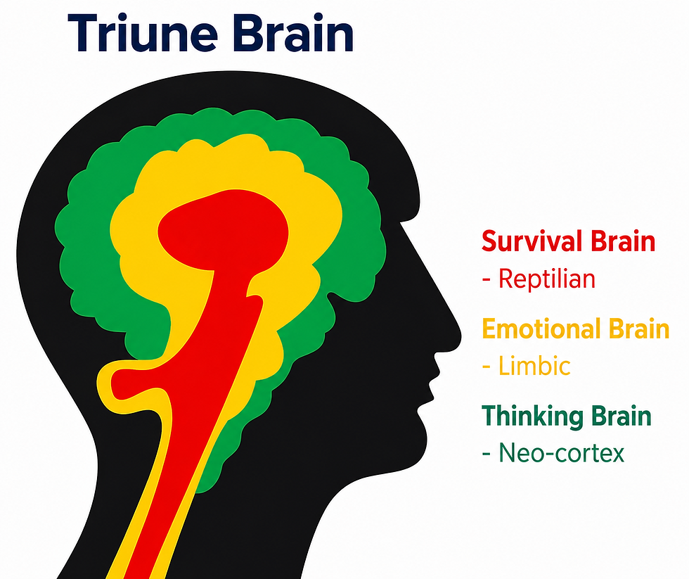Triune Brain diagram of a head silhouette with red, yellow, and green brain layers labeled Survival, Emotional, and Thinking Brain.