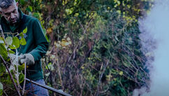 Chemical-Free Revolution in Japanese Knotweed Eradication – Exclusive Interview With Alan Hoey