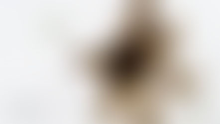 Our Community Has a Voice, It Feels Like Home