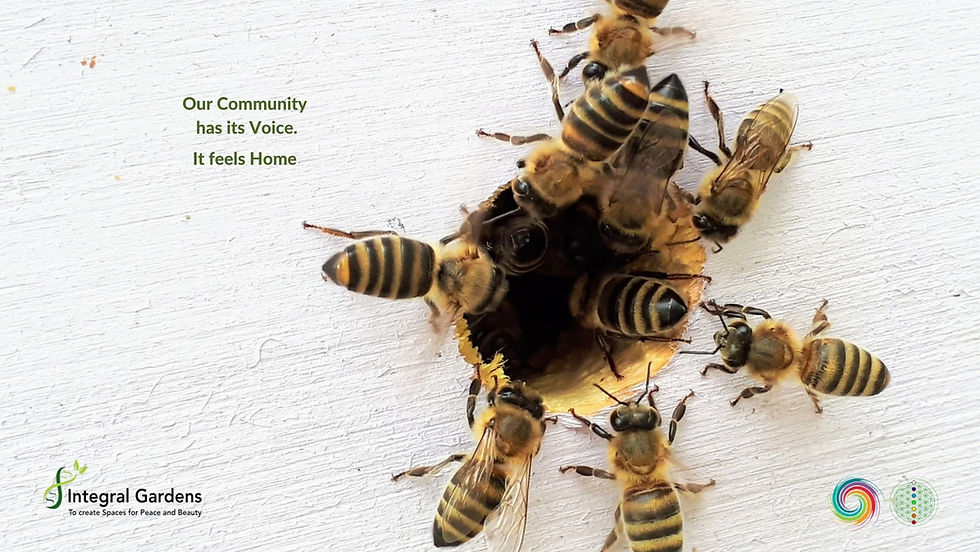 Bees clusterring around a hole in white wood. Text reads: "Our community has its voice. It feels home." Logos: Integral Gardens, colorful swirl, green circle.