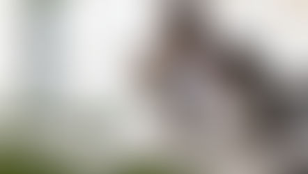 How Over-Functioning Leaders Create Dependency and What It Takes to Build True Capability