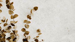 From Self-Reflection To Unparalleled Innovation – How To Connect With The Past To Create The Future