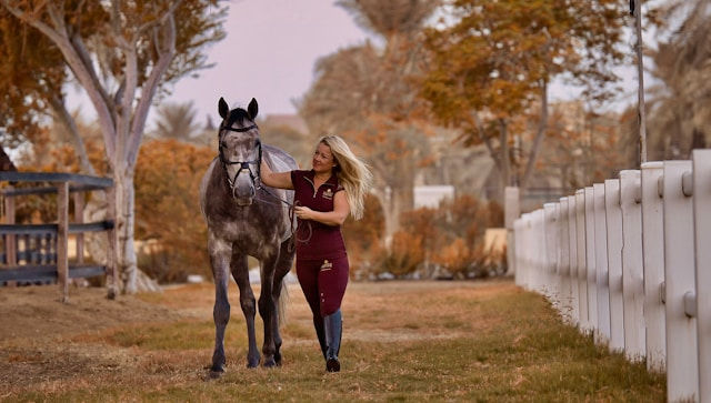 Woman in maroon walks a gray horse along a path beside a white fence and autumn trees, calm outdoor scene