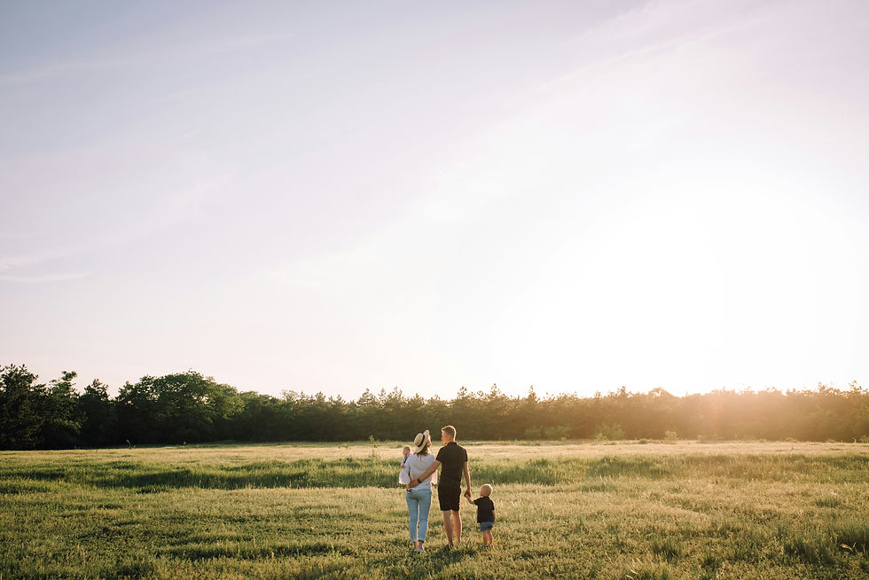 Family of four walking through a sunlit grassy field at sunset, seen from behind, with a calm, warm mood