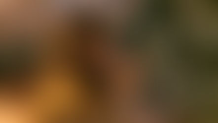 Navigating the Holidays With Family After Trauma