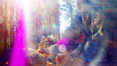 Your Body is a Stargate and the Final Alchemy of Light Sovereignty