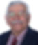 Hadi Eltonsi, Instant Remote Leadership Mindset Development
, Executive Contributor at Brainz Magazine