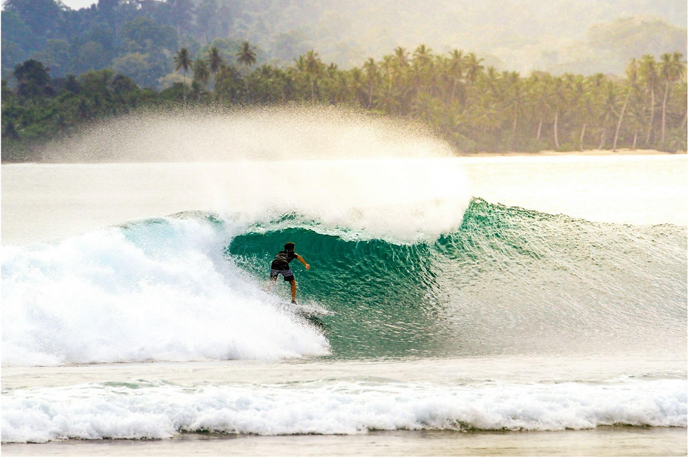 Surfer rides a large, turquoise wave near a tropical shoreline with palm trees. The scene conveys a sense of adventure and excitement.