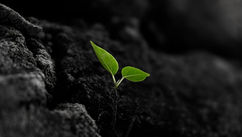 How to Trust Life's Timing When You Can't Control the Outcome