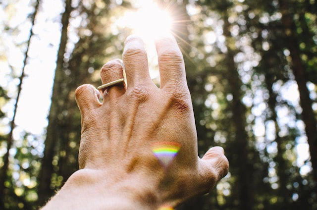 persons hang reaching out sunlight