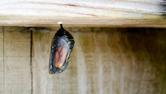 What Trauma Taught Me About Love