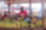 Reimagining Nonprofits and Philanthropy Through Lessons From a Market in Haiti