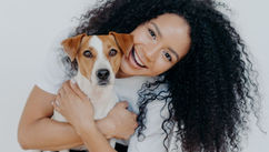 The Five Element Roadmap to a Peaceful Home