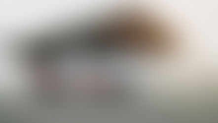 Le Mans, Dakar, Or Formula 1 — How Are You Driving Your Career Journey? You Are In The Driver's Seat