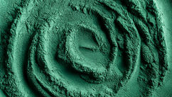 The Latest Superfood Redefining Beauty, Brain Health, Longevity, and Sustainable Nutrition