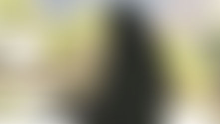 Finding Wholeness in Imperfection and How Ikigai, Wabi-Sabi, and Kintsugi Can Transform Western Life