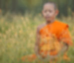 Young monk in orange robe meditates peacefully in a sunlit field of tall grass, conveying tranquility and focus.
