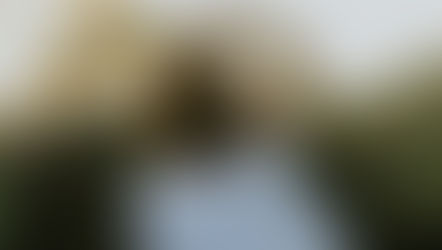 Your Gut Never Lies – The Powerful Link Between Intuition and Gut Health