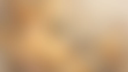 The Lost Twin, the Eternal Longing and Searching Without Knowing What For