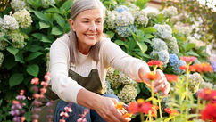 How Your Lymphatic System Keeps You Radiant and Full of Life