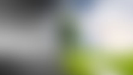 The Science of Fear and Courage – How Our Brains Can Learn to Embrace Challenge