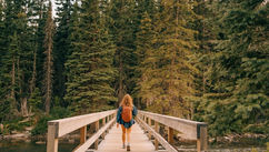 From Frazzled to Focused and How Nature Helps Busy Minds Slow Down