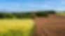 The Fallow Season: What Leaders Can Learn from Farmers