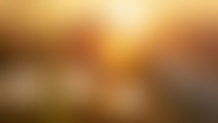 Womb Healing – How 4 Transformative Practices Can Restore Your Feminine Power and Vitality