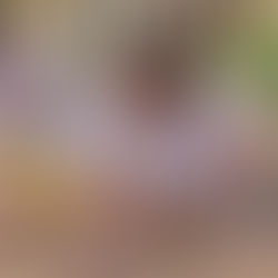 Why You Keep Attracting Narcissistic Partners