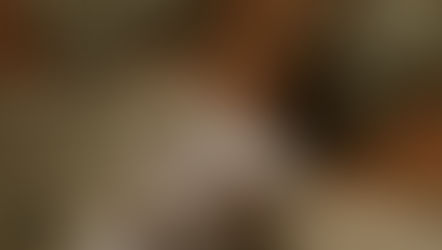 Protecting Midwifery Rights – The Final Frontier of Women’s Autonomy