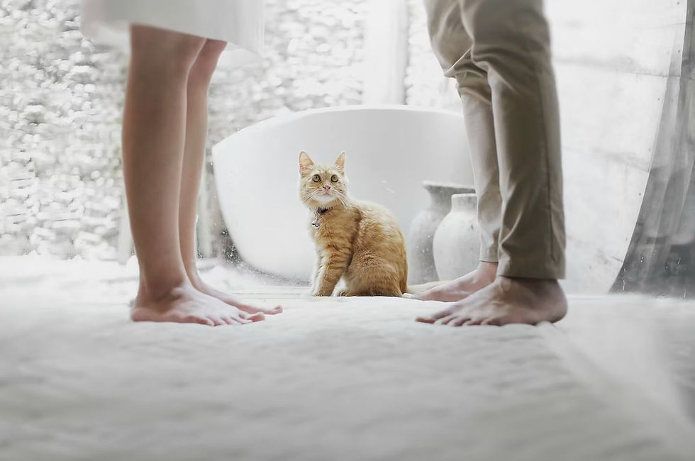 Two people stand barefoot in a bright room with a ginger cat sitting between them. White walls and a bathtub are visible in the background.