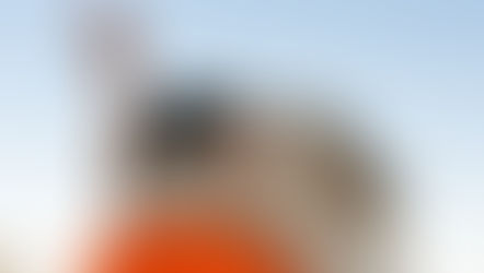 Experiencing Personal Evolution Through Leaning Into Surrender