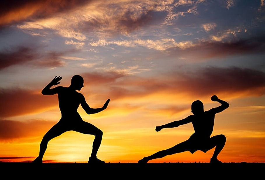 Two silhouetted martial artists pose in wide stances at sunset, against a dramatic orange and purple sky.