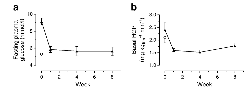 Two graphs labeled a and b show glucose levels and HGP over 8 weeks. Both start high, drop sharply, then level off.