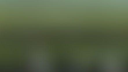 Dreams After the End – A Jungian Take on Yves Tanguy’s Una y otra vez and Imaginary Numbers