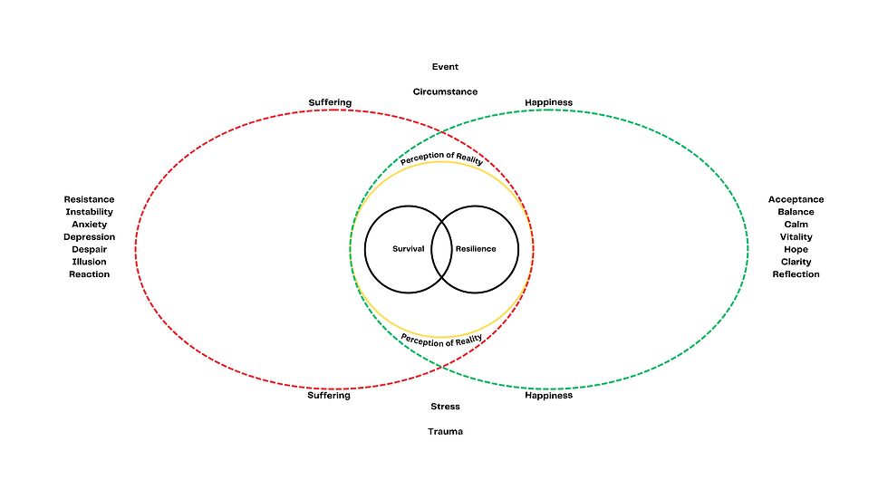 Venn diagram with red and green circles labeled Suffering and Happiness, intersecting for Survival and Resilience. Labels include emotions and states.