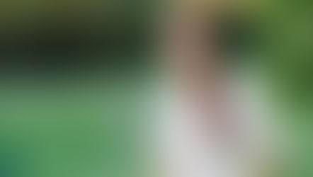 Healing Upstream in Chronic Illness: The Visionary Behind Origin Wellness – Interview with Amber Walker