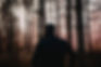 Josh Chauhan Announces The Word From the Wood, A Dark Futuristic Mystery Premiering on YouTube in 2028