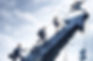 Why Growth Promises Fail, and Five Traps Companies Should Avoid