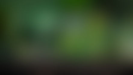 Benefits of Botanical Plant Medicine, and How It Saved My Life