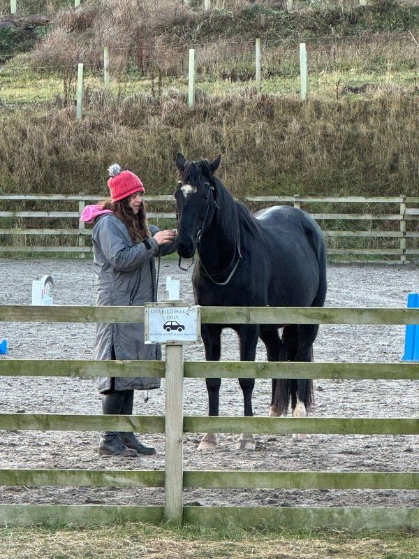 Woman in pink hat interacts with black horse in a fenced area. "Disabled Parking Only" sign on fence. Overcast, rural setting.